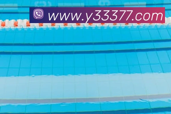 3377APP 封面图